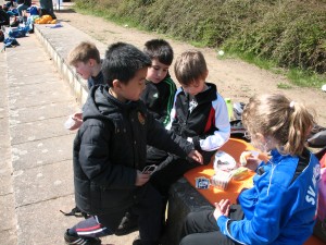 Neue Kräfte sammeln beim Unospiel