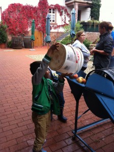 -Apfelwaschmaschine-