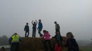 Beim Toben im Stroh (2)