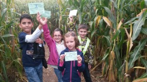 So viele Stempel haben wir schon...