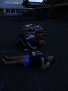 Wir beobachten Fledermäuse