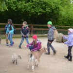 Wir streicheln die Ziegen.