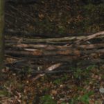 unsere Kunstwerke
