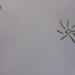 Wintersonne