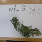 Nils